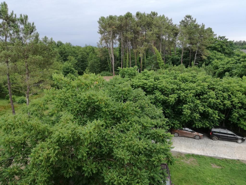Shekvetili+ Hotell Exteriör bild