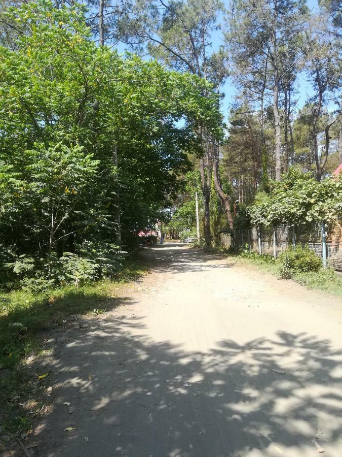 Shekvetili+ Hotell Exteriör bild